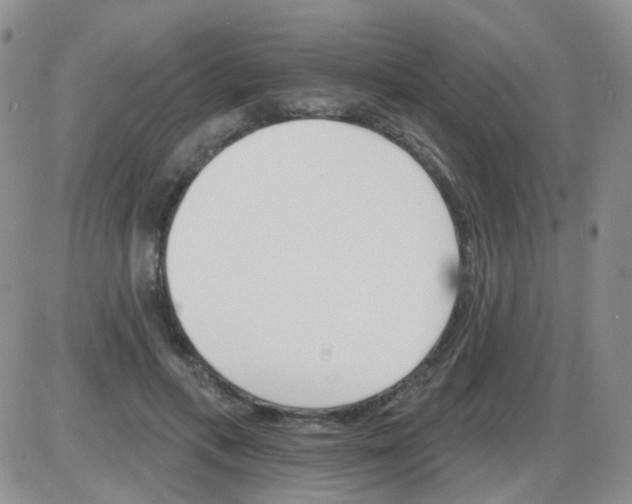 X0000085300597200703231900