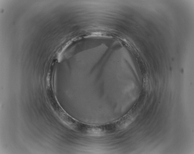 X0000085300598200703231900