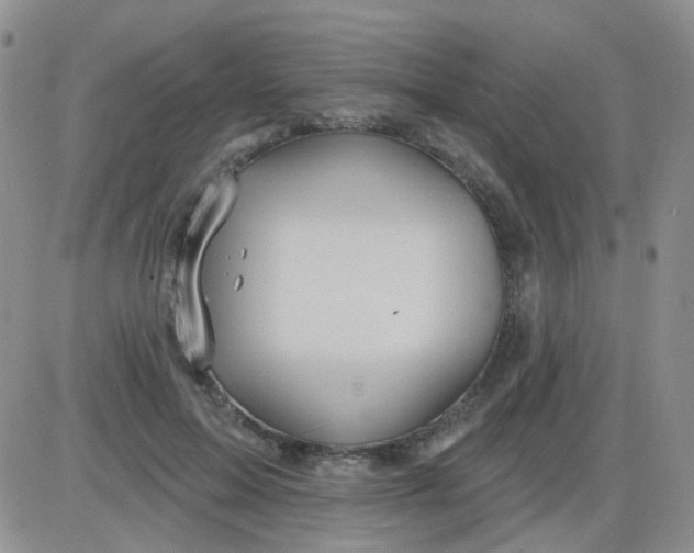 X0000085300599200703231900