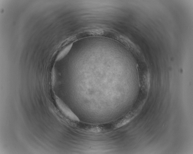 X0000085300600200703231900