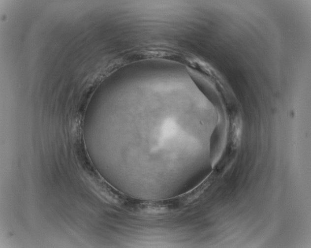 X0000085300601200703231900