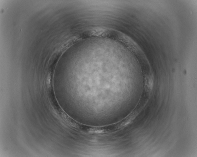 X0000085300602200703231900