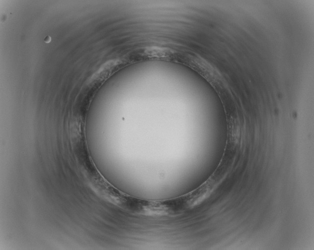 X0000085300603200703231900