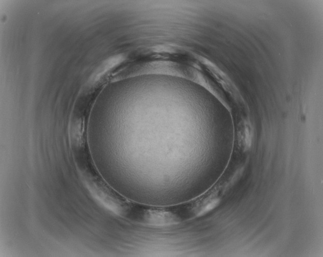 X0000085300605200703231900