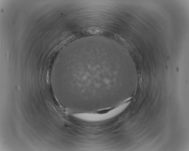 X0000085300606200703231900