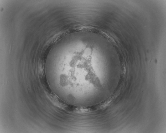 X0000085300607200703231900