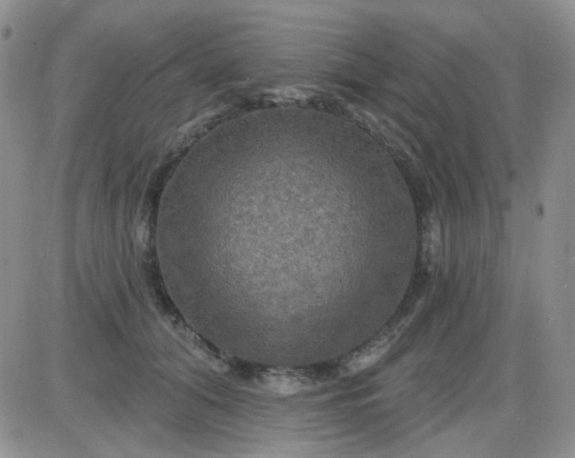 X0000085300608200703231900