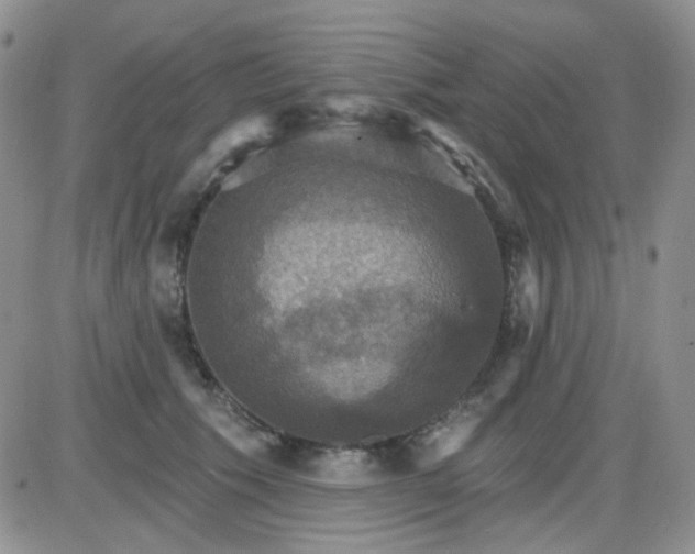 X0000085300609200703231900