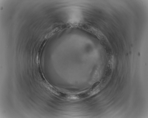 X0000085300610200703231900