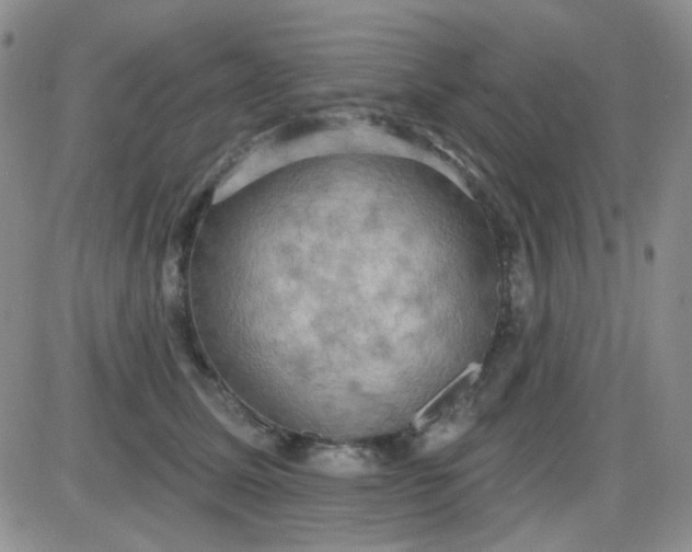 X0000085300611200703231900