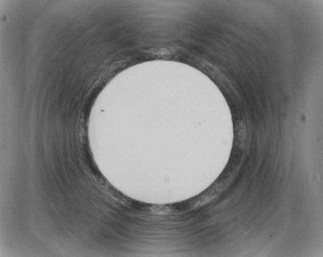 X0000085300612200703231900