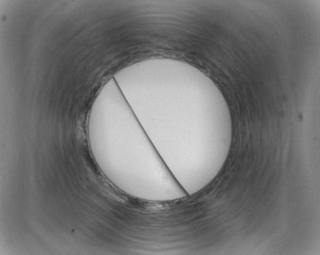 X0000085300616200703231900