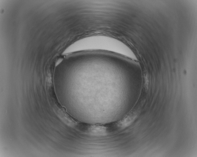 X0000085300617200703231900