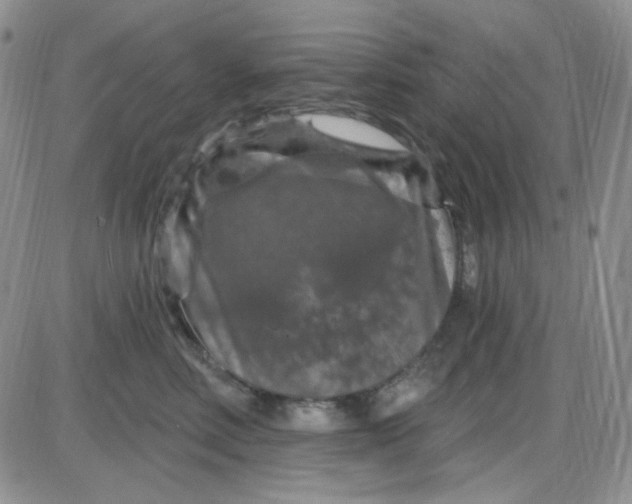 X0000085300618200703231900