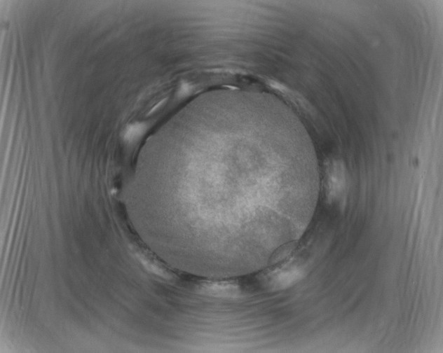 X0000085300619200703231900