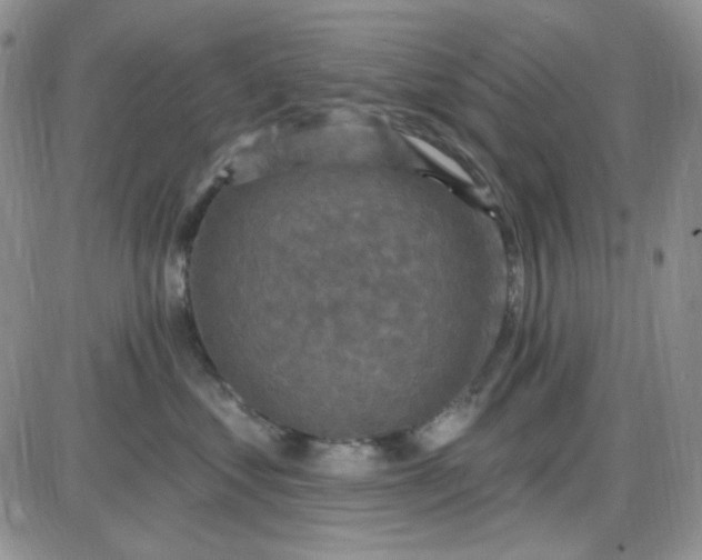 X0000085300621200703231900