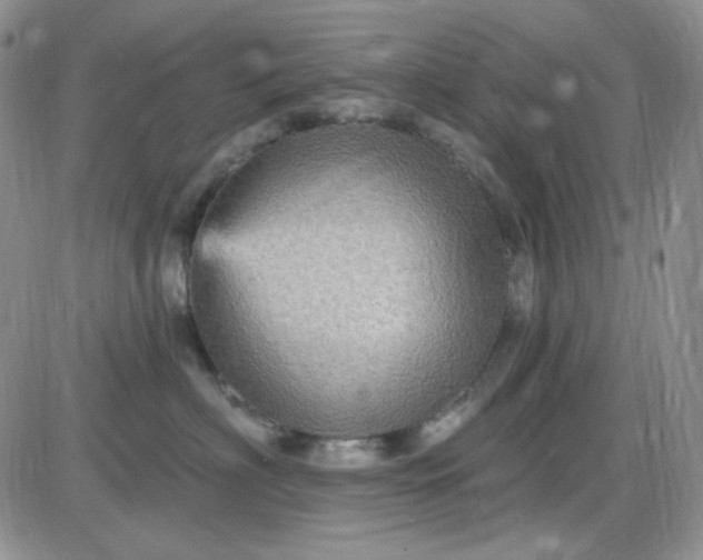 X0000085300622200703231900