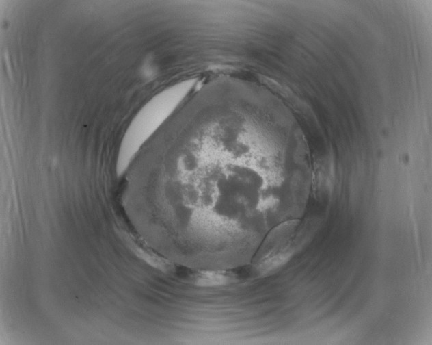 X0000085300623200703231900