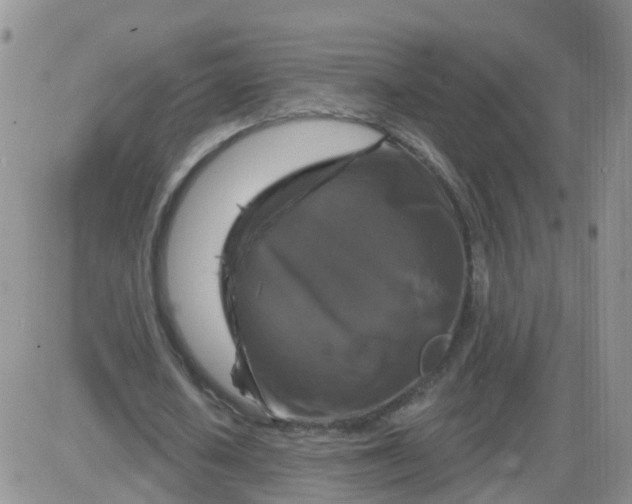 X0000085300626200703231859