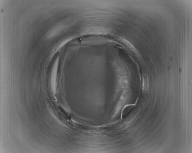 X0000085300627200703231859