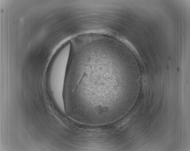 X0000085300628200703231859