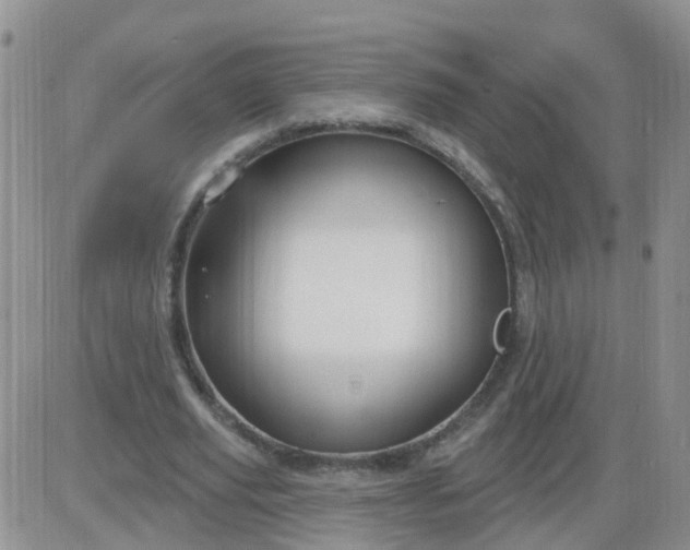 X0000085300629200703231859