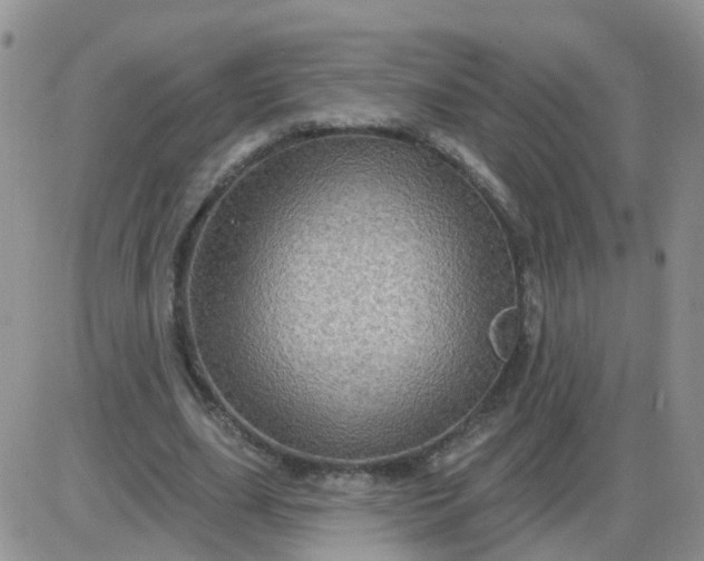 X0000085300631200703231859