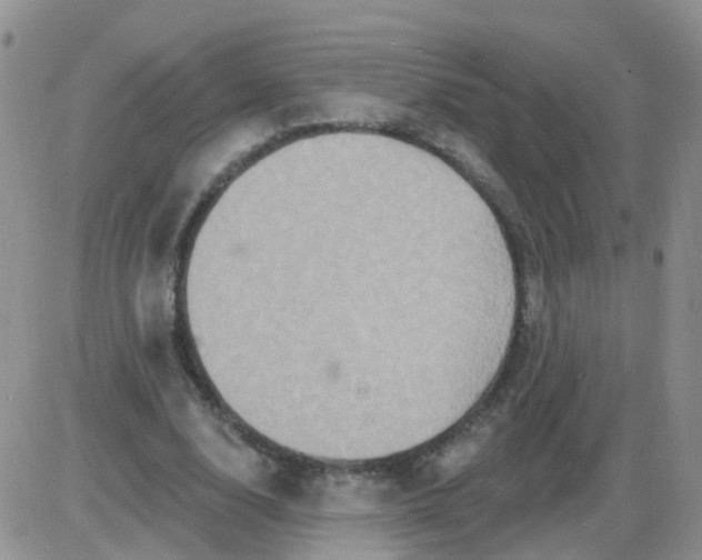 X0000085300632200703231859