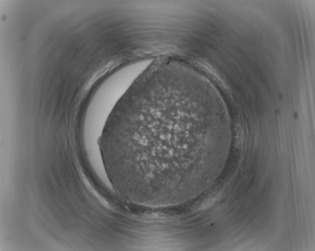 X0000085300634200703231859