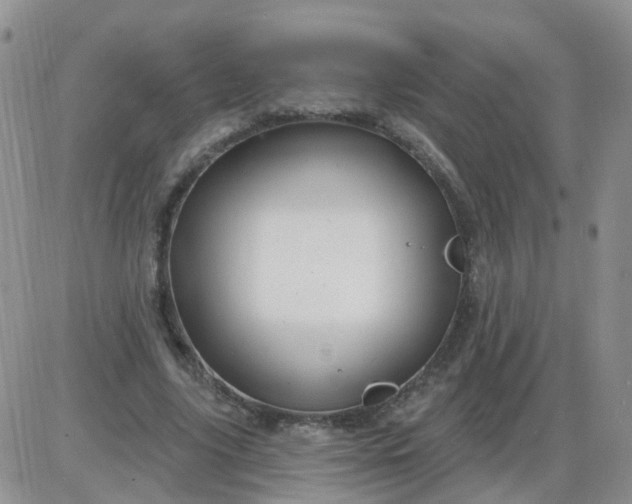 X0000085300635200703231859