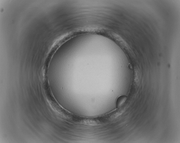 X0000085300636200703231859