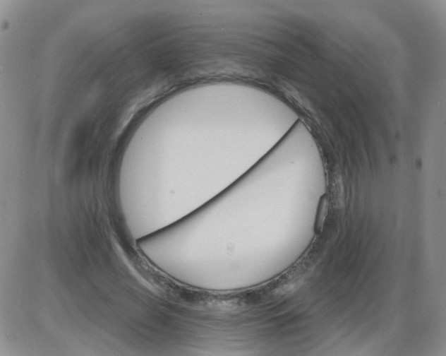 X0000085300638200703231859