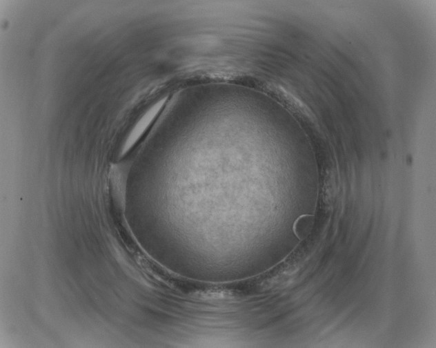 X0000085300639200703231859