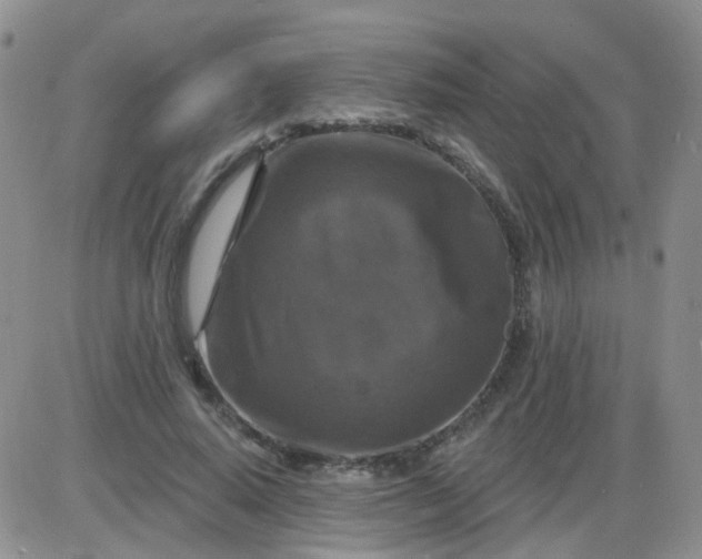 X0000085300640200703231859