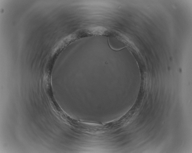 X0000085300641200703231859