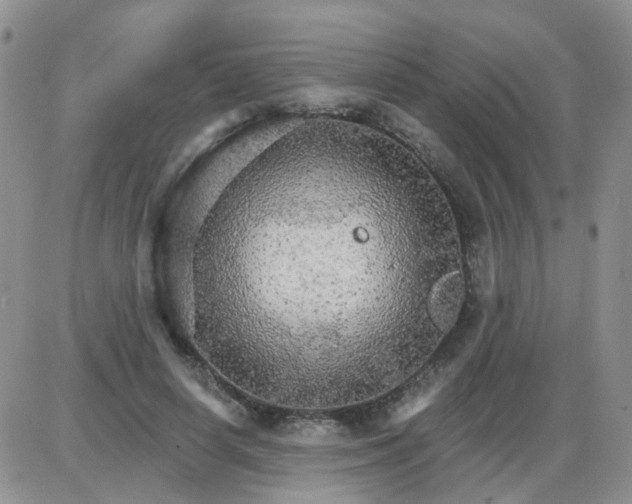 X0000085300642200703231859