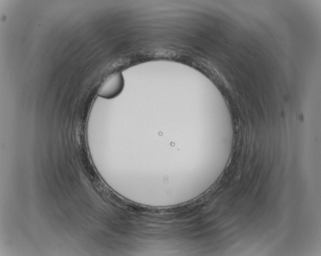 X0000085300643200703231859