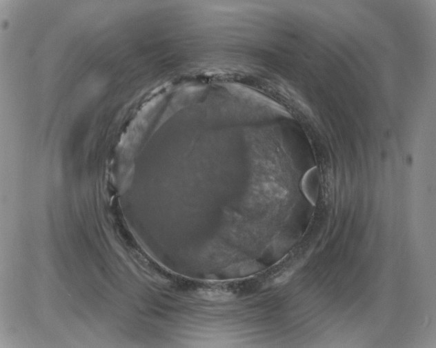 X0000085300644200703231859