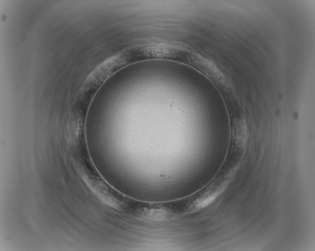 X0000085300645200703231859