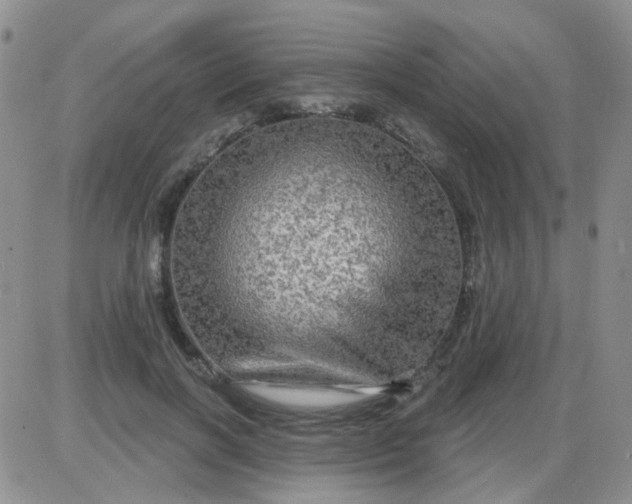 X0000085300646200703231859