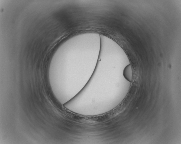 X0000085300648200703231859