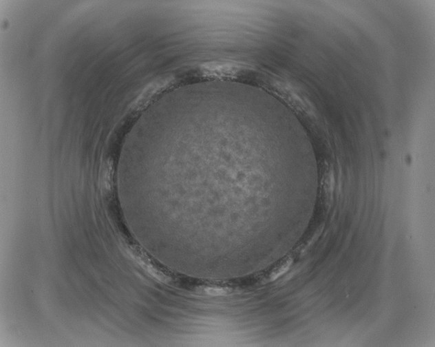 X0000085300649200703231859