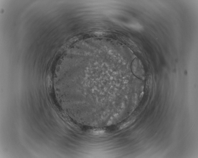 X0000085300651200703231859