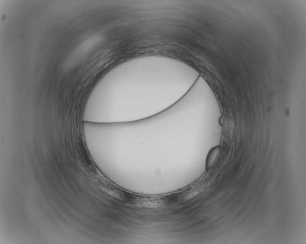 X0000085300652200703231859