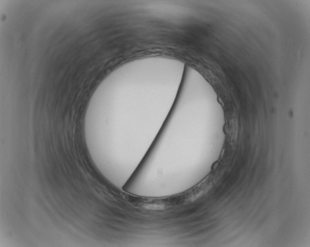 X0000085300653200703231859