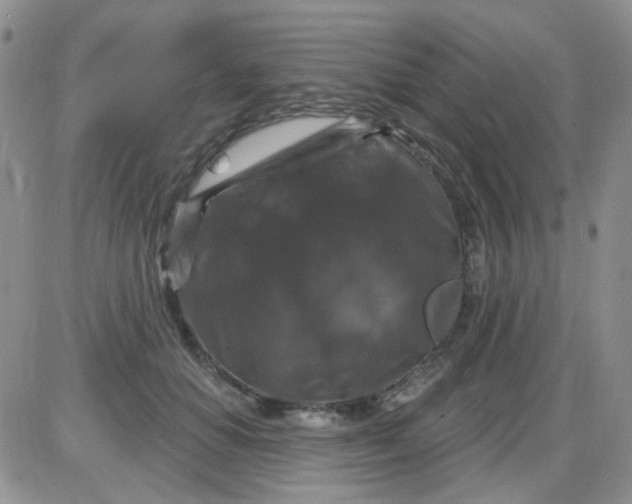 X0000085300654200703231859