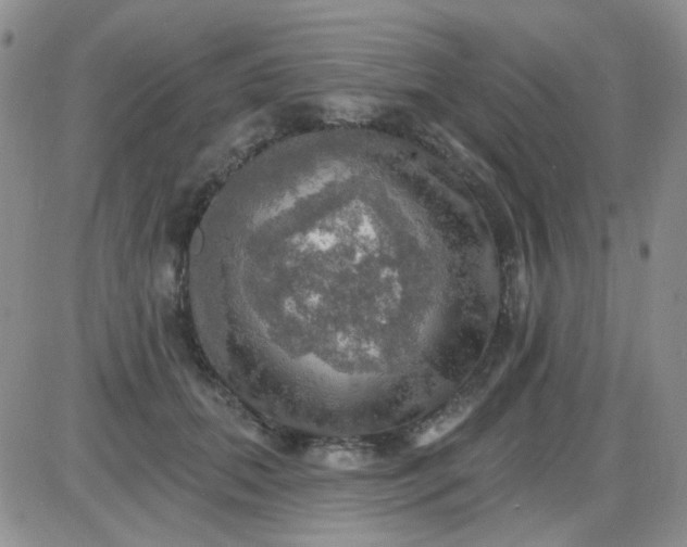 X0000085300655200703231859