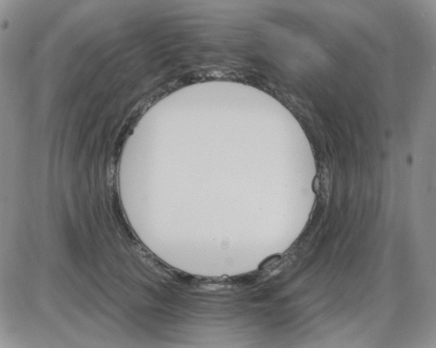 X0000085300657200703231859