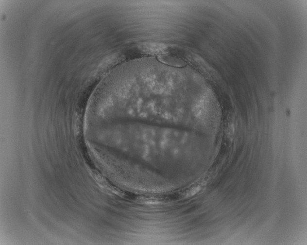 X0000085300658200703231859