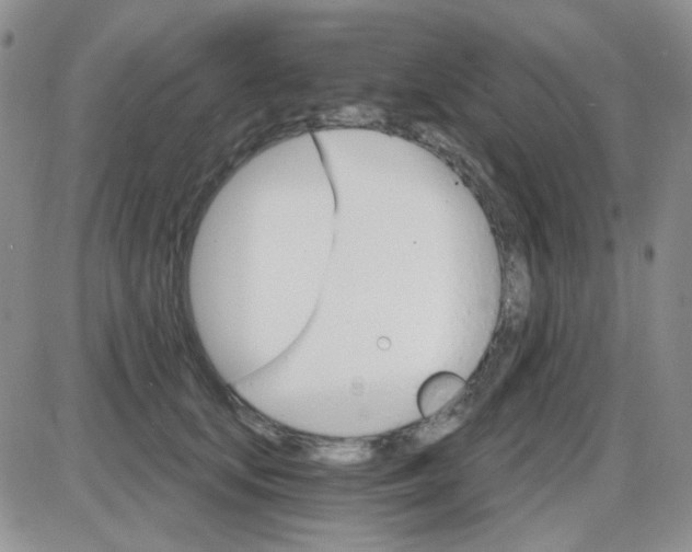 X0000085300659200703231859